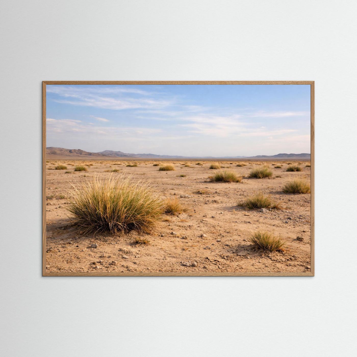 Weite der Steppe | Wüstenlandschaft Naturposter Querformat