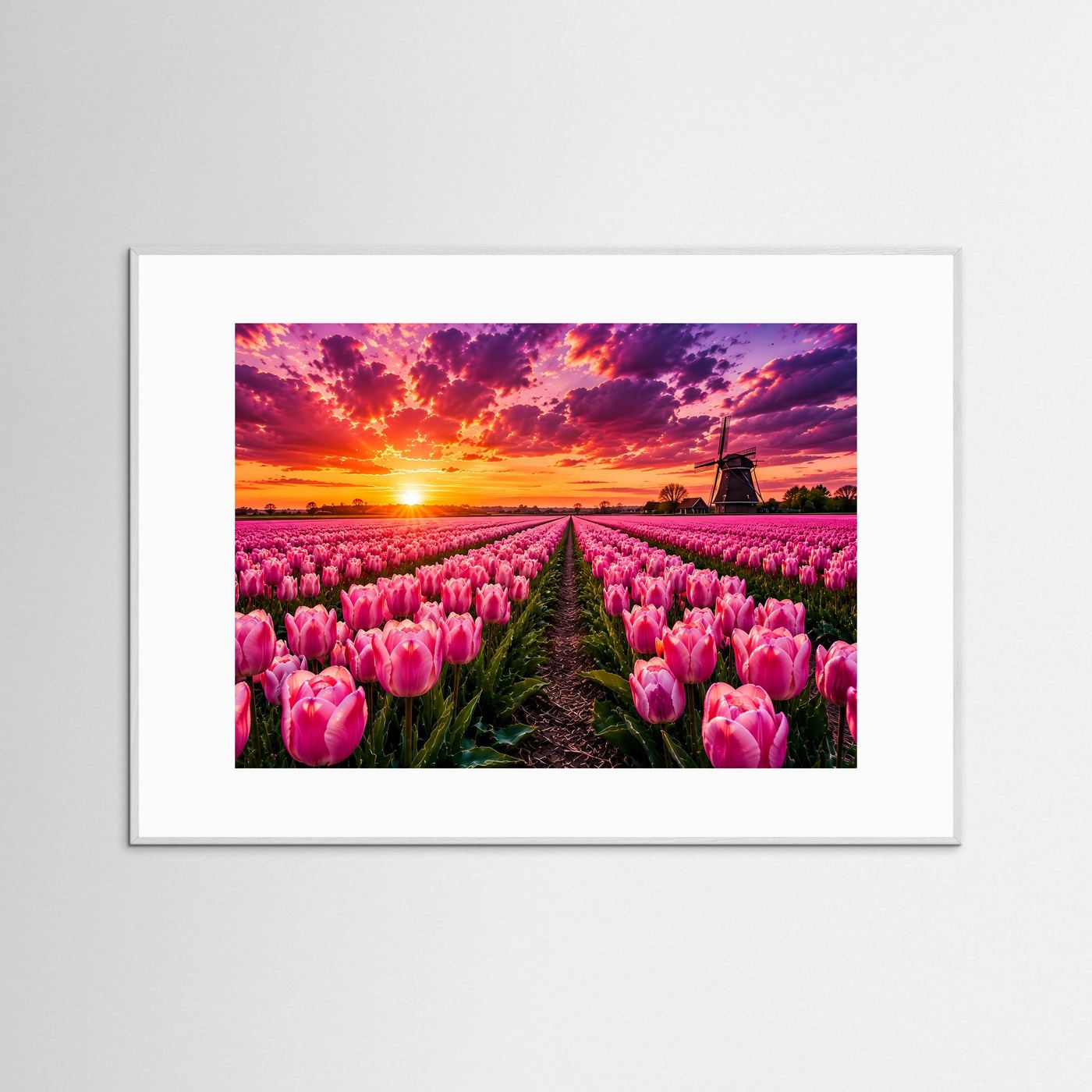 Rosa Tulpenfeld bei Sonnenuntergang | Holland Windmühle Landschaft