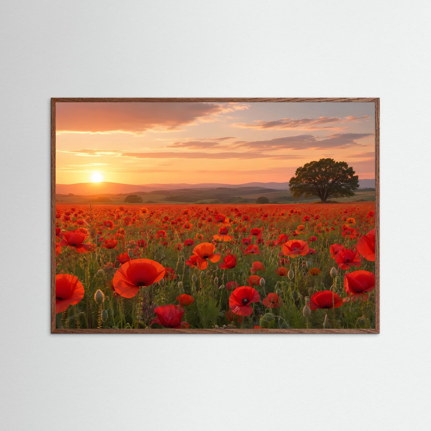 Mohnblumen Poster Querformat | Rotes Mohnfeld bei Sonnenuntergang