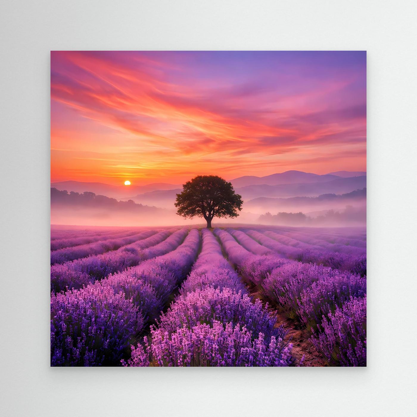 Leinwandbild Lavendelfeld mit Sonnenaufgang und Baum in der Mitte, ohne Rahmen
