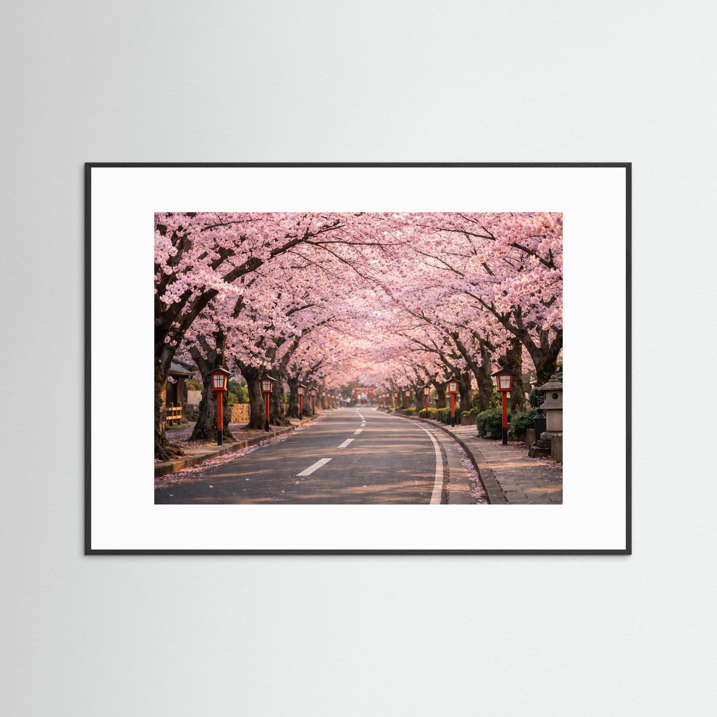 Kirschblütenallee-Panorama-Poster im schwarzen Rahmen, Querformat, rosa Kirschblüten