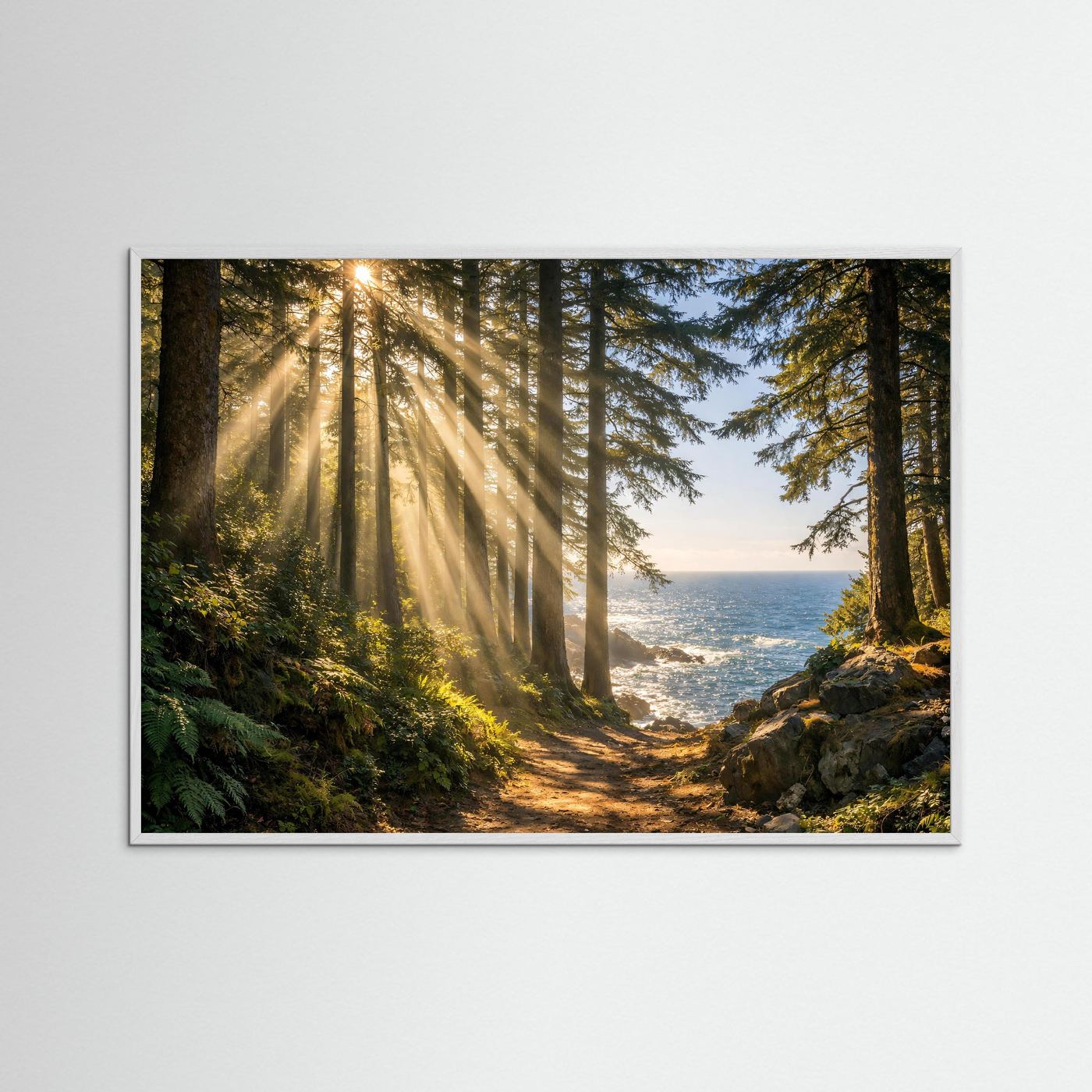 Poster im Querformat mit Sonnenstrahlen im Küstenwald bis zum Meer, grauer Rahmen