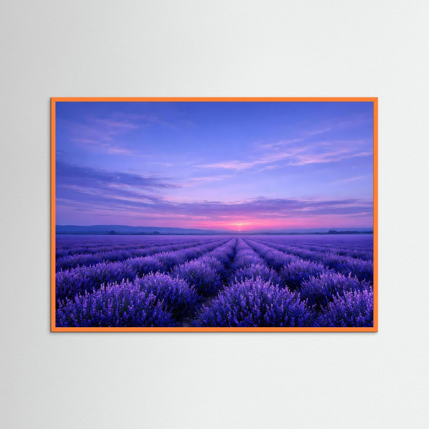 Poster Lavendelfeld im Sonnenuntergang | Majestätisches Violettes Wandbild