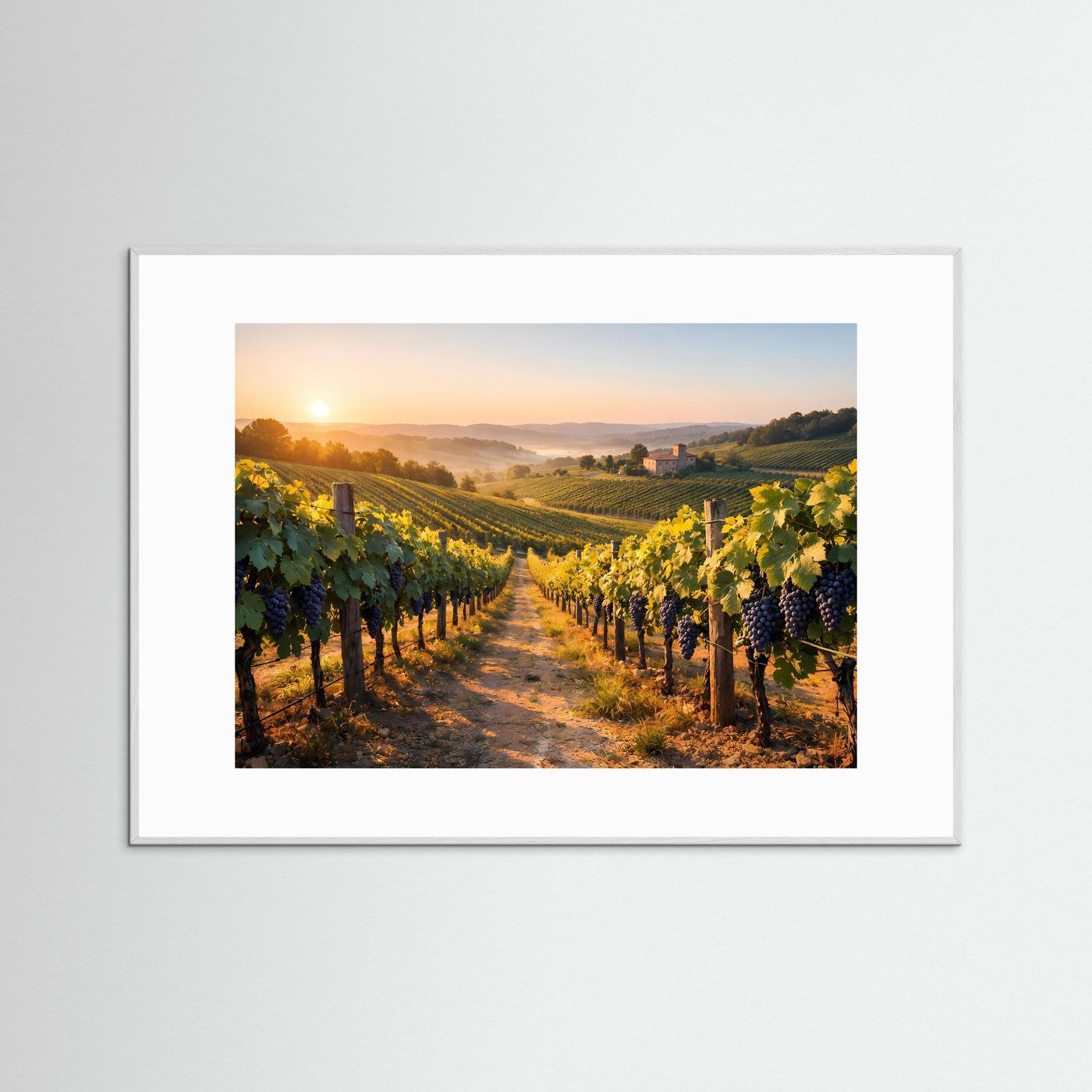 Gerahmtes Weinberg-Poster im Querformat mit Sonnenaufgang, Rebenreihen, weißer Rahmen.