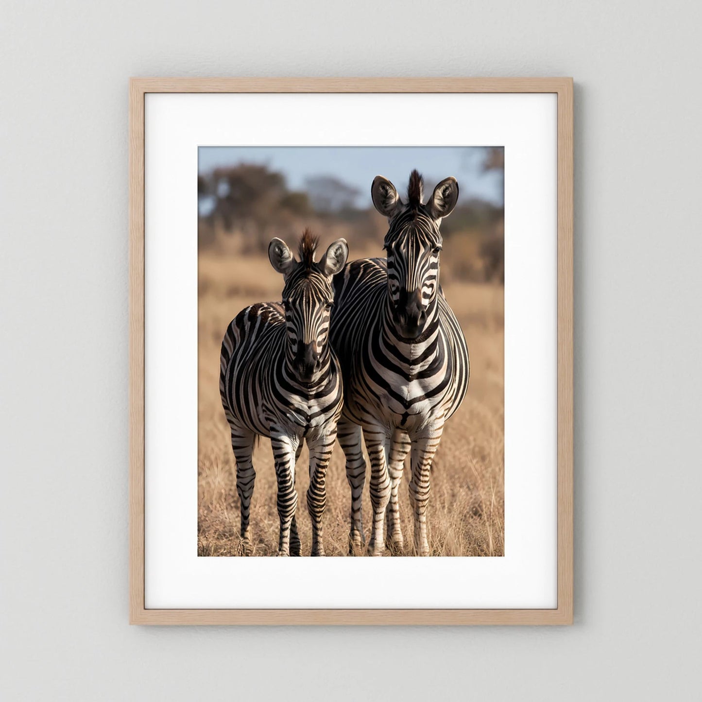 Poster mit Zebras: Mutter und Jungtier, im hellen Holzrahmen mit weißem Rand