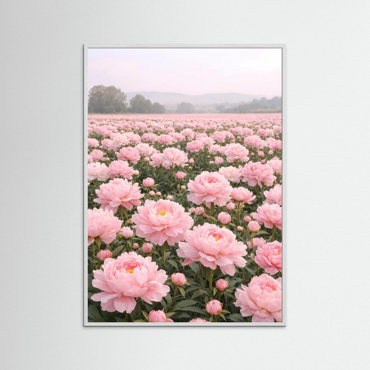 Poster Pfingstrosenfeld im Morgendunst | Rosa Blumenwiese Wandbild