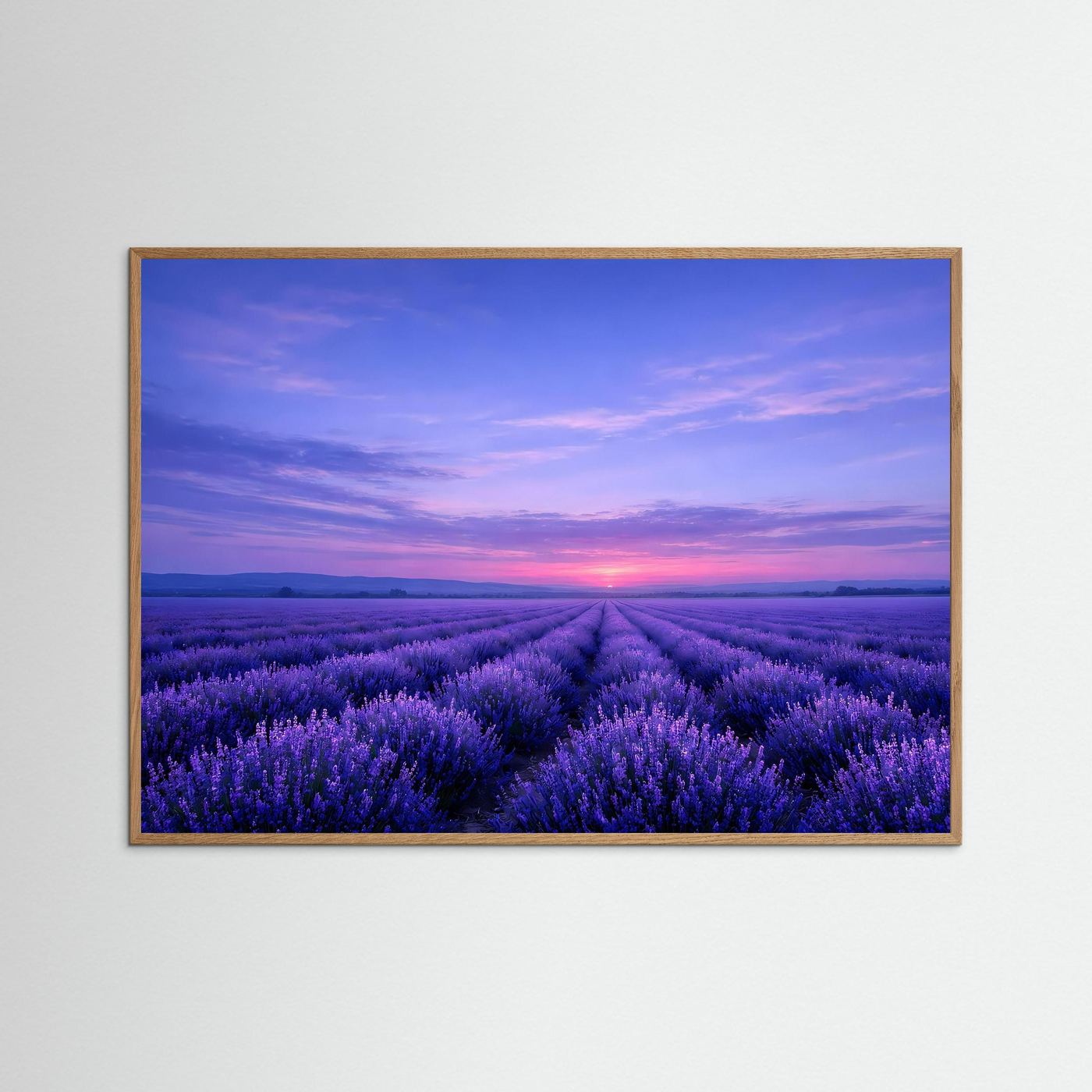 Poster Lavendelfeld im Sonnenuntergang | Majestätisches Violettes Wandbild