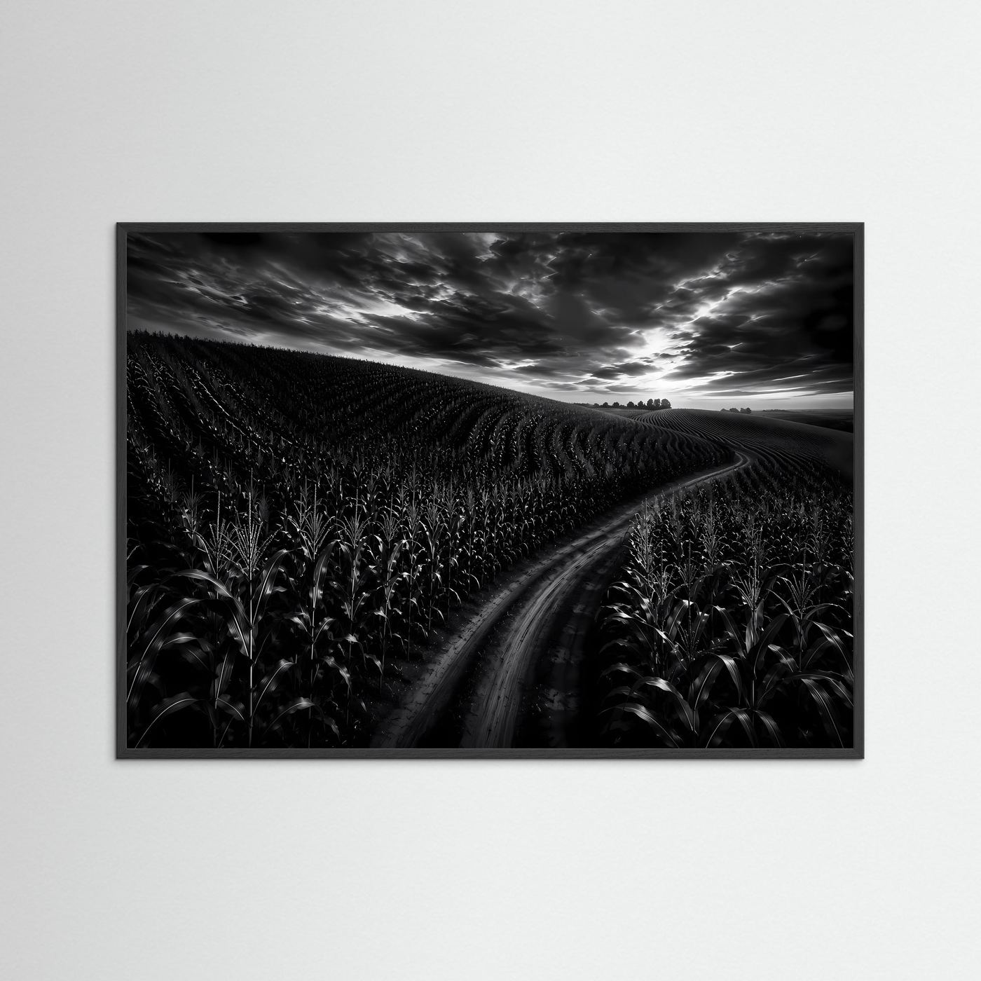 Schwarz Weiß Landschaft mit Feldweg | Dramatisches Natur Wandbild | Monochrome Landschaftsfotografie | Modernes Leinwandbild | Premium Poster