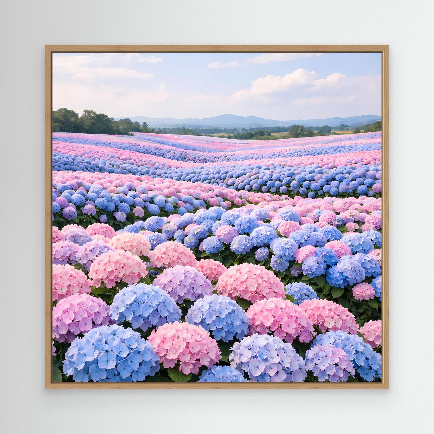 Leinwandbild mit Hortensienfeld in Pastelltönen, rechteckiger Rahmen aus Holz (Eiche)