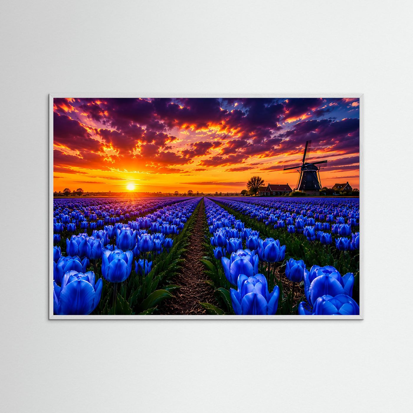 Blaue Tulpen bei Sonnenuntergang | Farbenprächtiges Tulpenfeld mit Windmühle