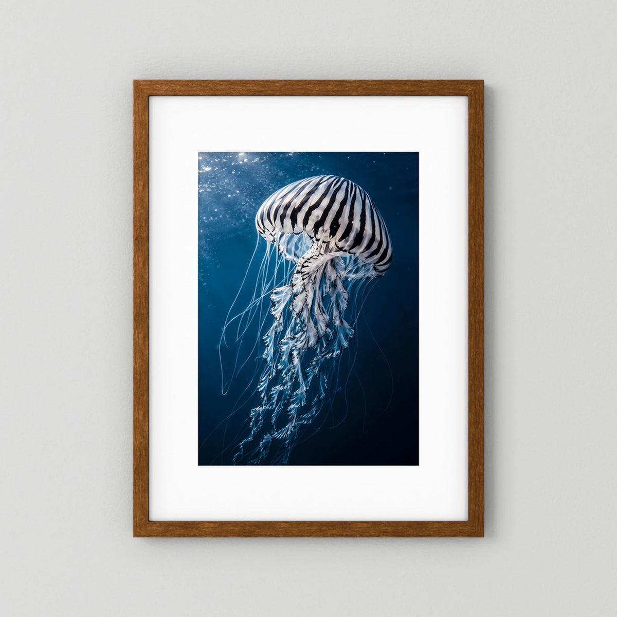 Poster mit Qualle im Blau, braunem Holzrahmen, Hochformat.
