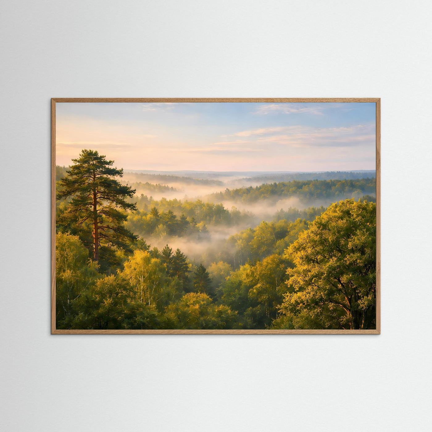 Morgenlicht über dem Nebelwald | Baumkronen & Natur Panorama Poster Querformat