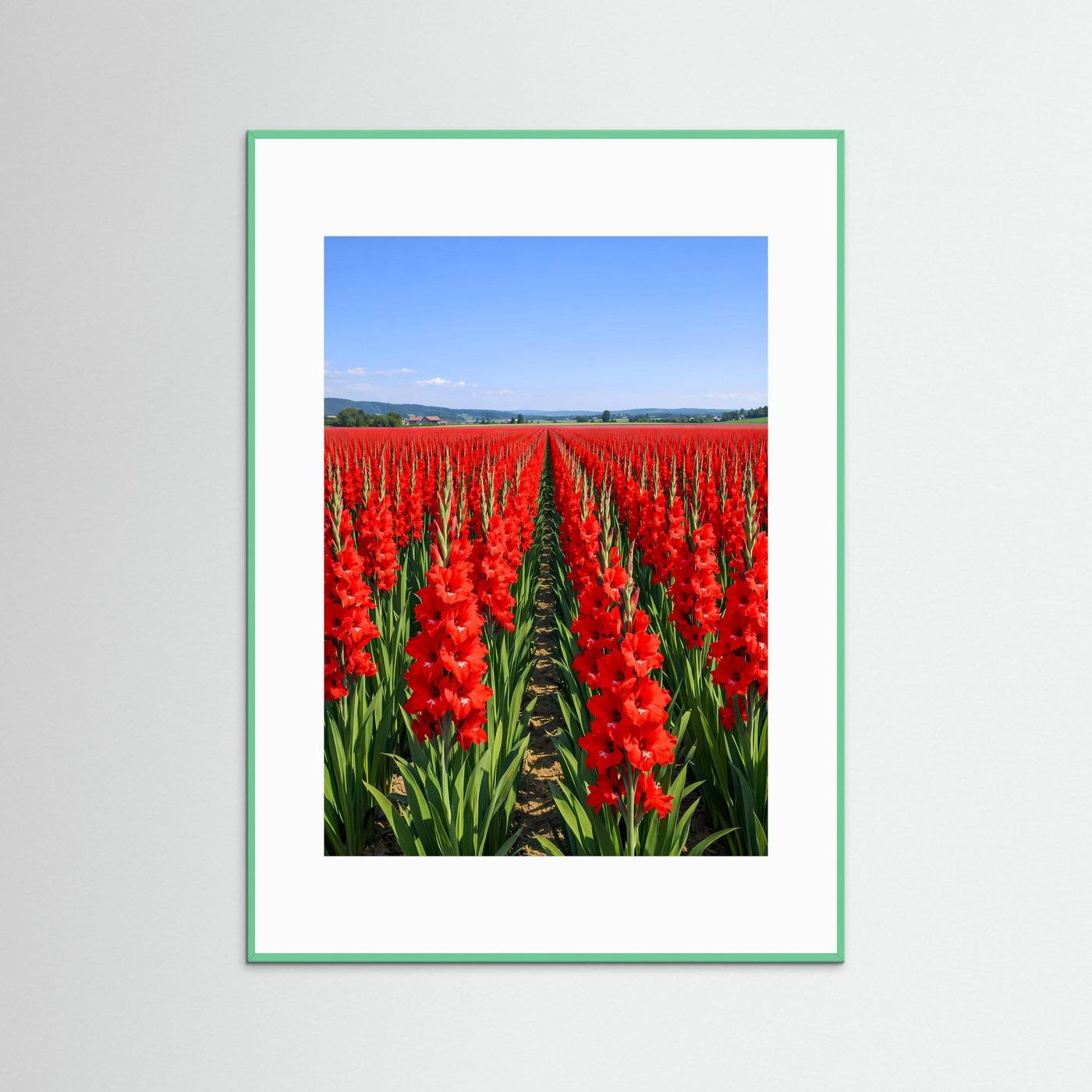 Poster mit Gladiolenwiese in Zinnoberrot, hellgrüner Holzrahmen mit weißem Rand