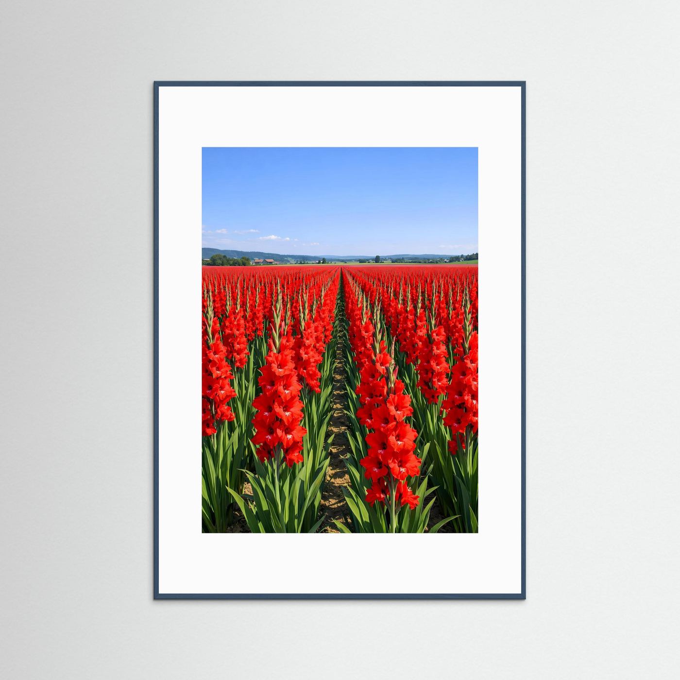 Wandbild mit roten Gladiole-Blüten im Feld, weißer Rahmen mit blauer Umrandung
