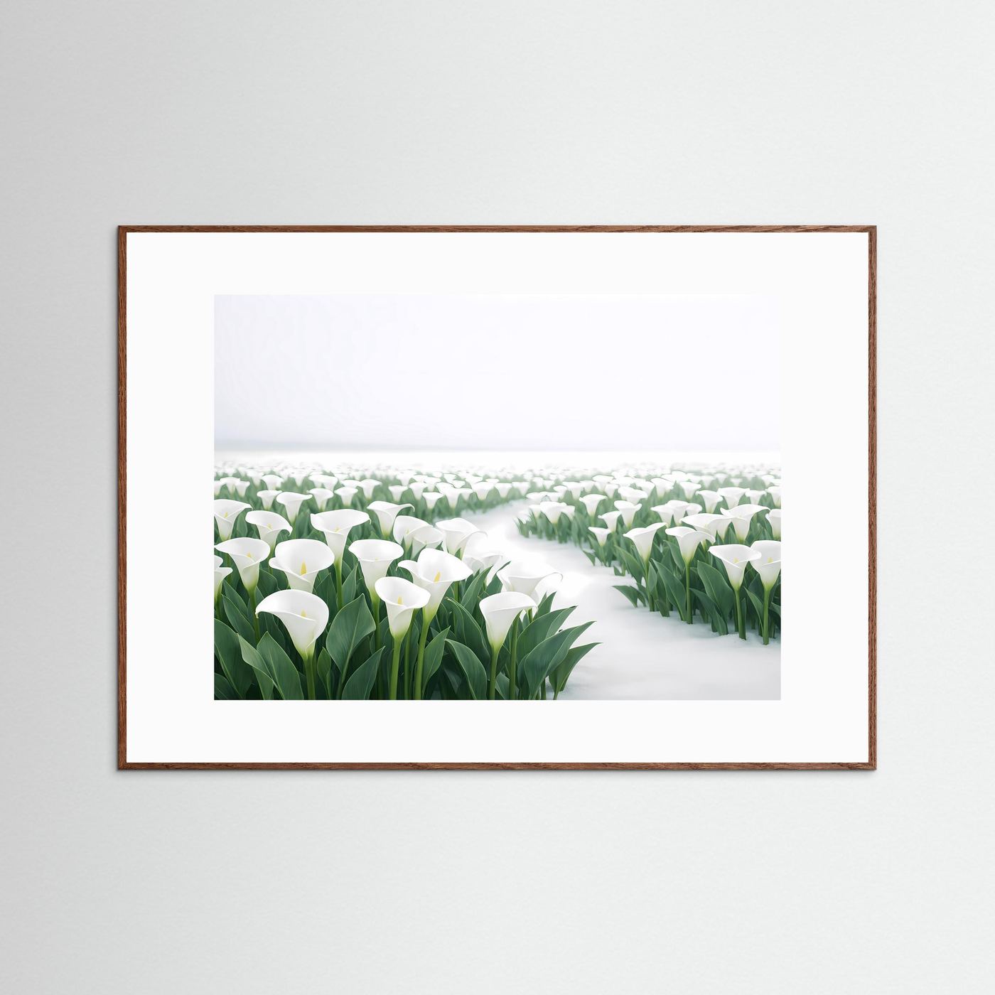 Weiße Calla Lilien im Schnee | Elegantes Blumen & Natur Poster Querformat