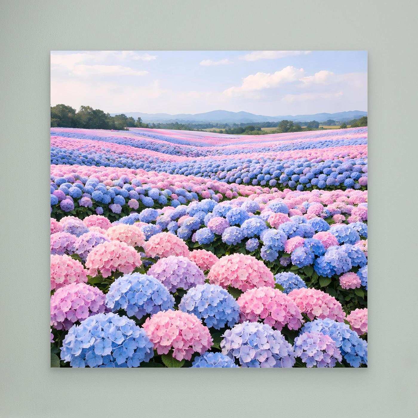Leinwandbild mit Hortensienfeld in Pastellfarben, ohne sichtbaren Rahmen