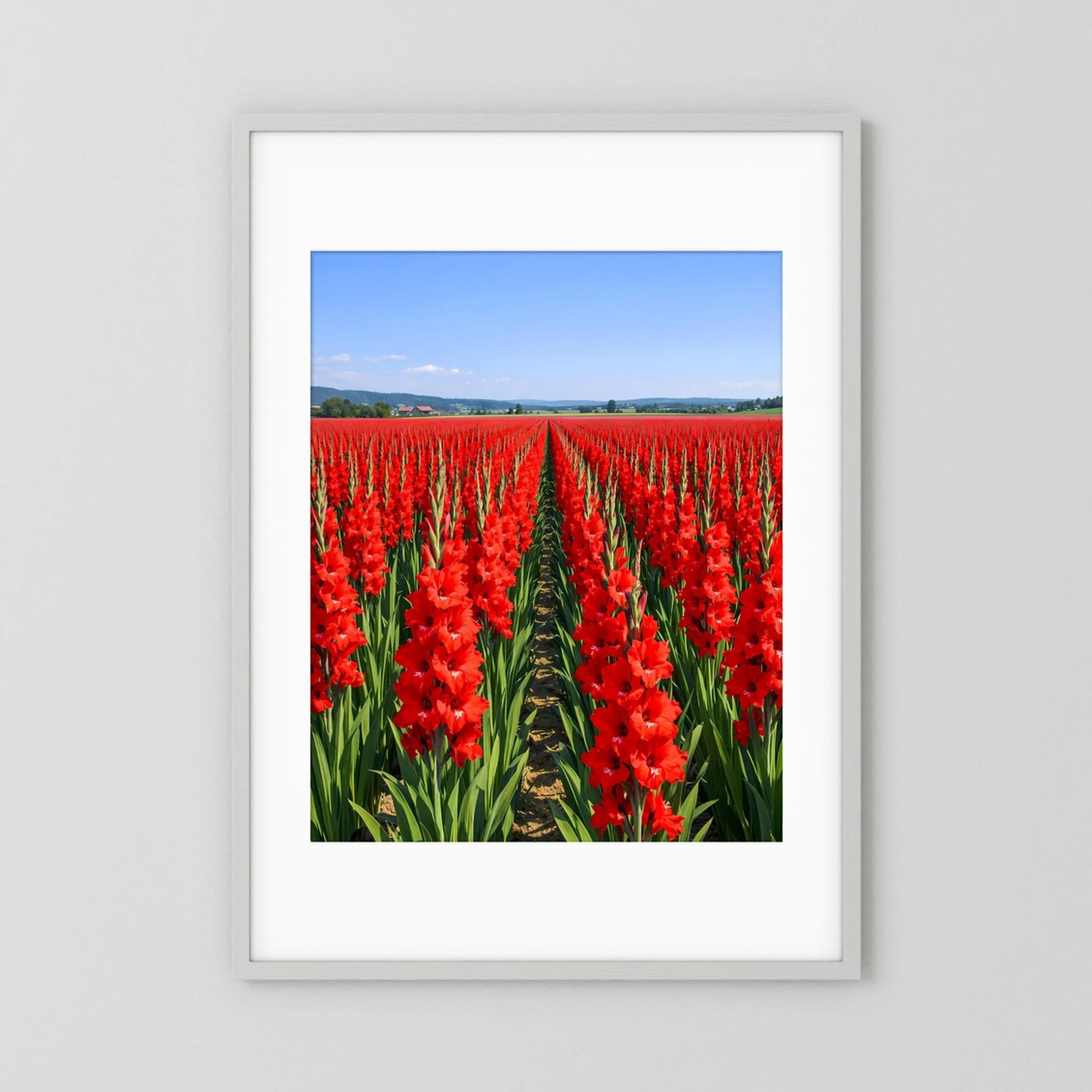 Wandbild mit rotem Gladiolenfeld im weißen Rahmen