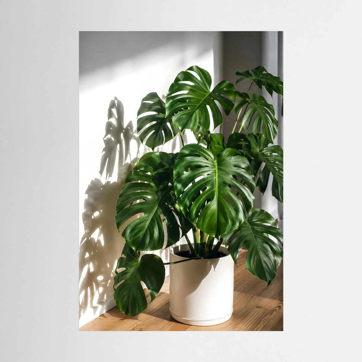 Poster mit Monstera-Pflanze in hellem Topf, hochformatig, ohne Rahmen