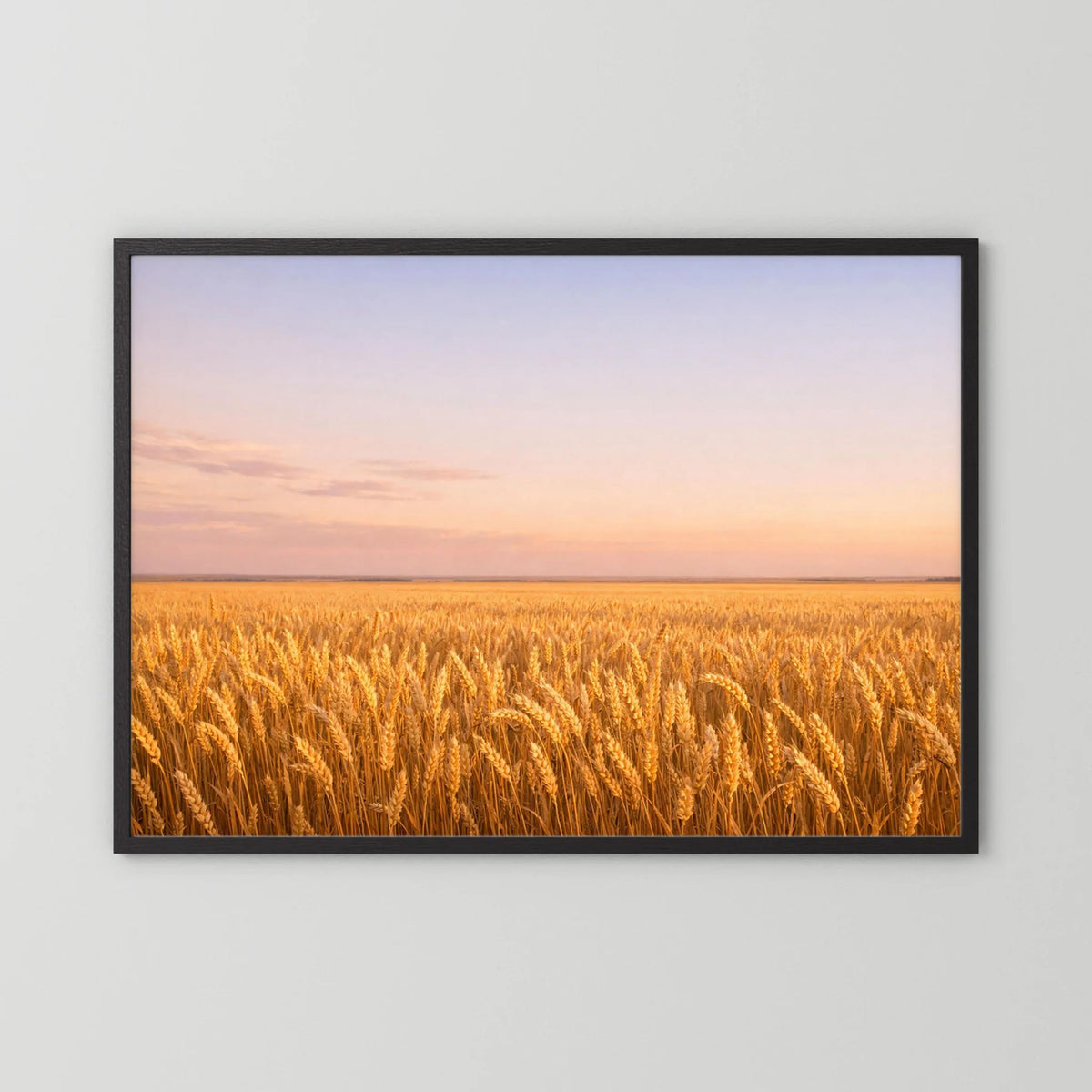 Querformatiges Wandbild mit goldenem Weizenfeld bei Sonnenuntergang im schwarzen Rahmen