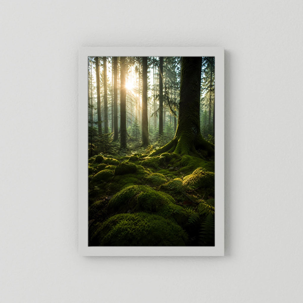Poster im Hochformat mit weißem Rand: moosiger Wald, Sonnenstrahlen, großer Baumstamm