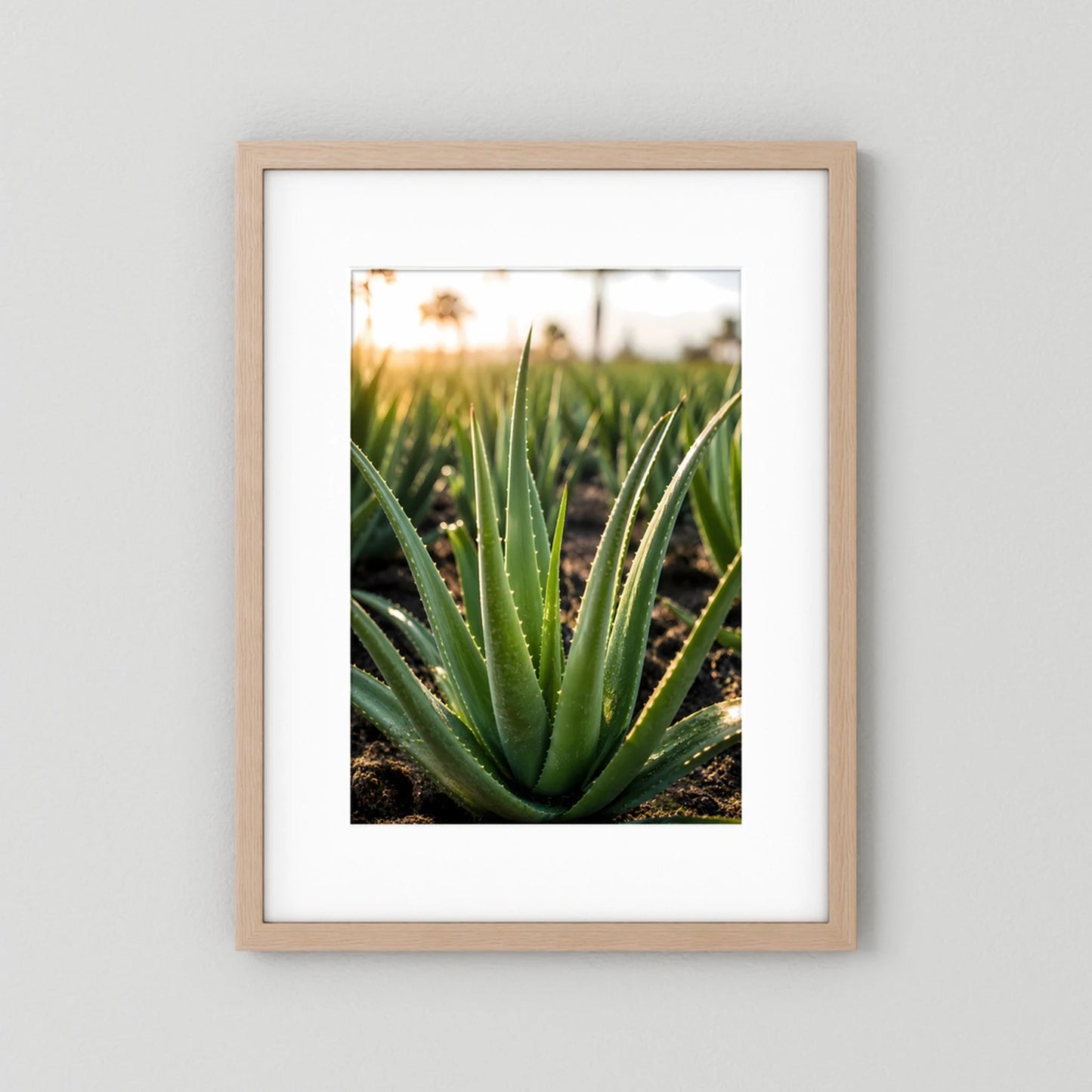 Poster mit Aloe-Vera-Zierpflanze im hellen Holzrahmen mit weißem Rand, Hochformat.