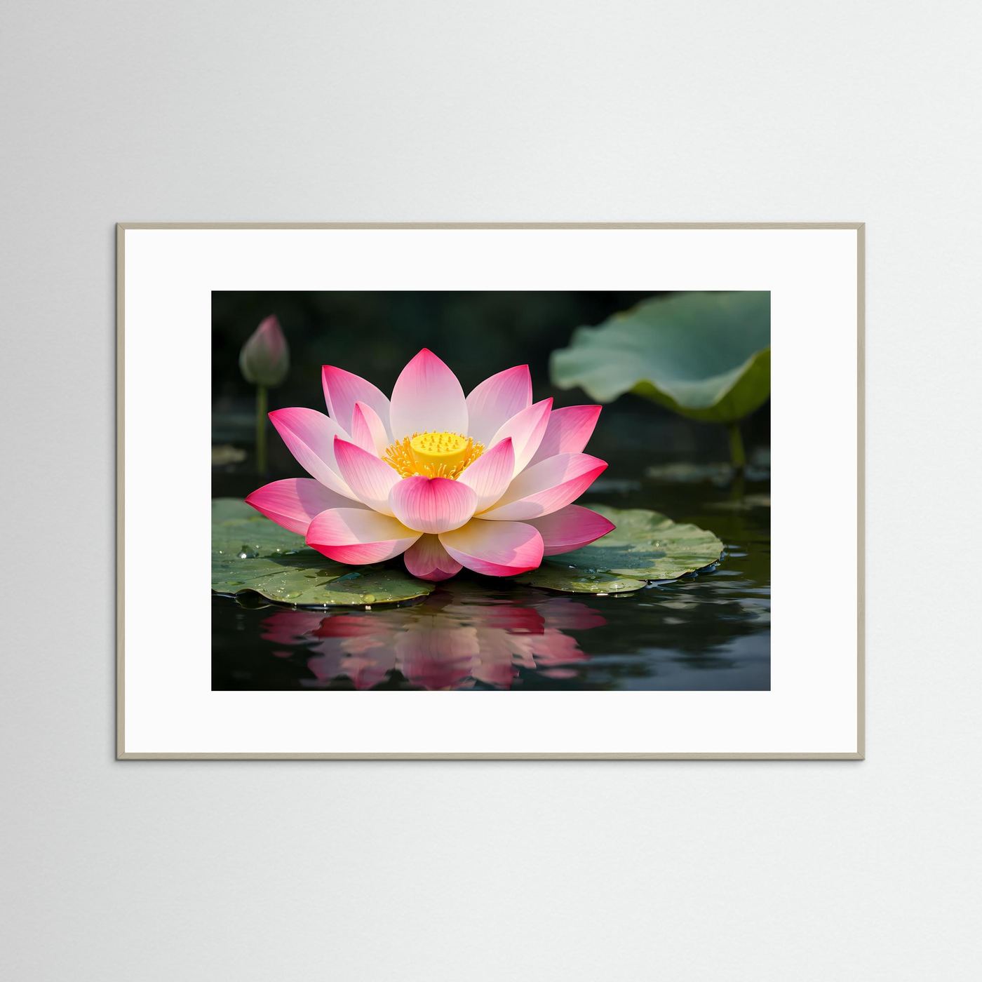 Poster im Querformat mit rosa Lotosblüte auf Wasseroberfläche, weißer Rahmen