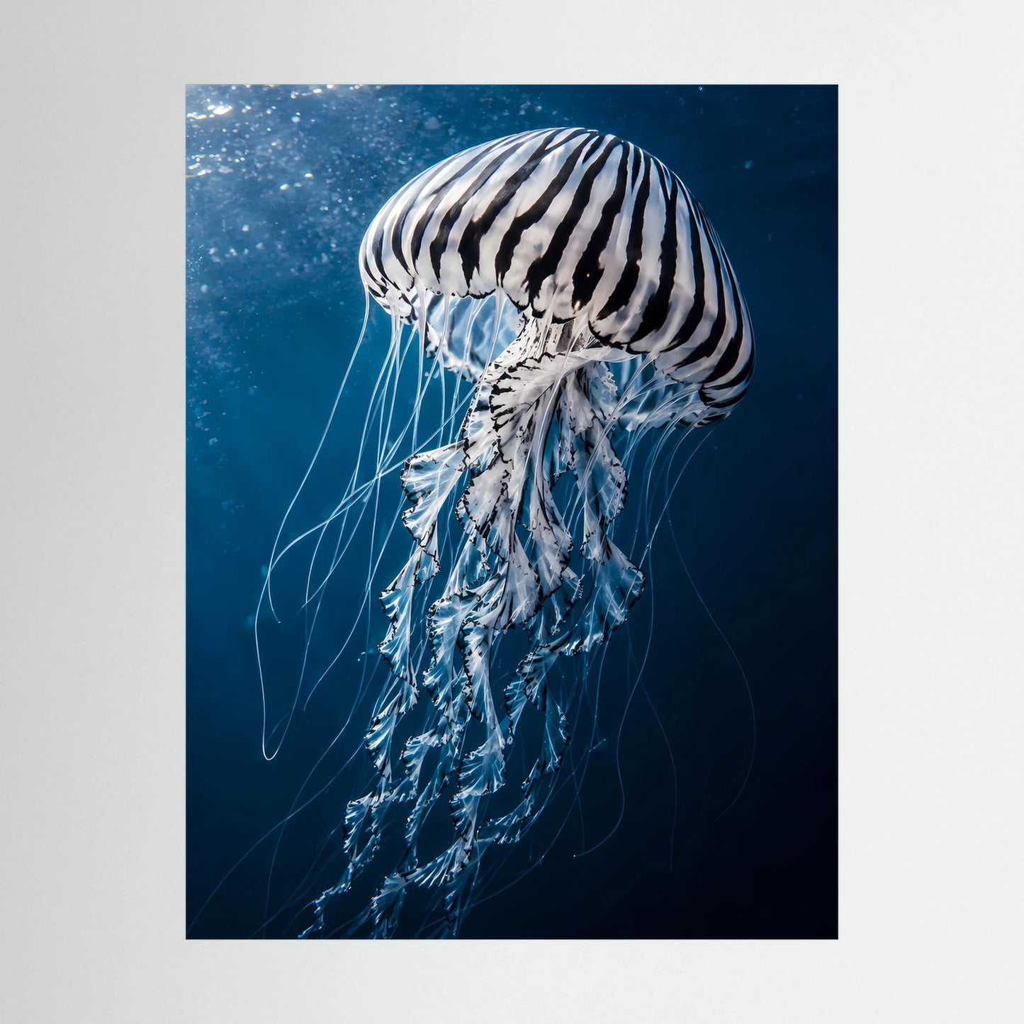 Nahaufnahme des Posters: Qualle in Blau, schwarz-weiß gestreifter Schirm