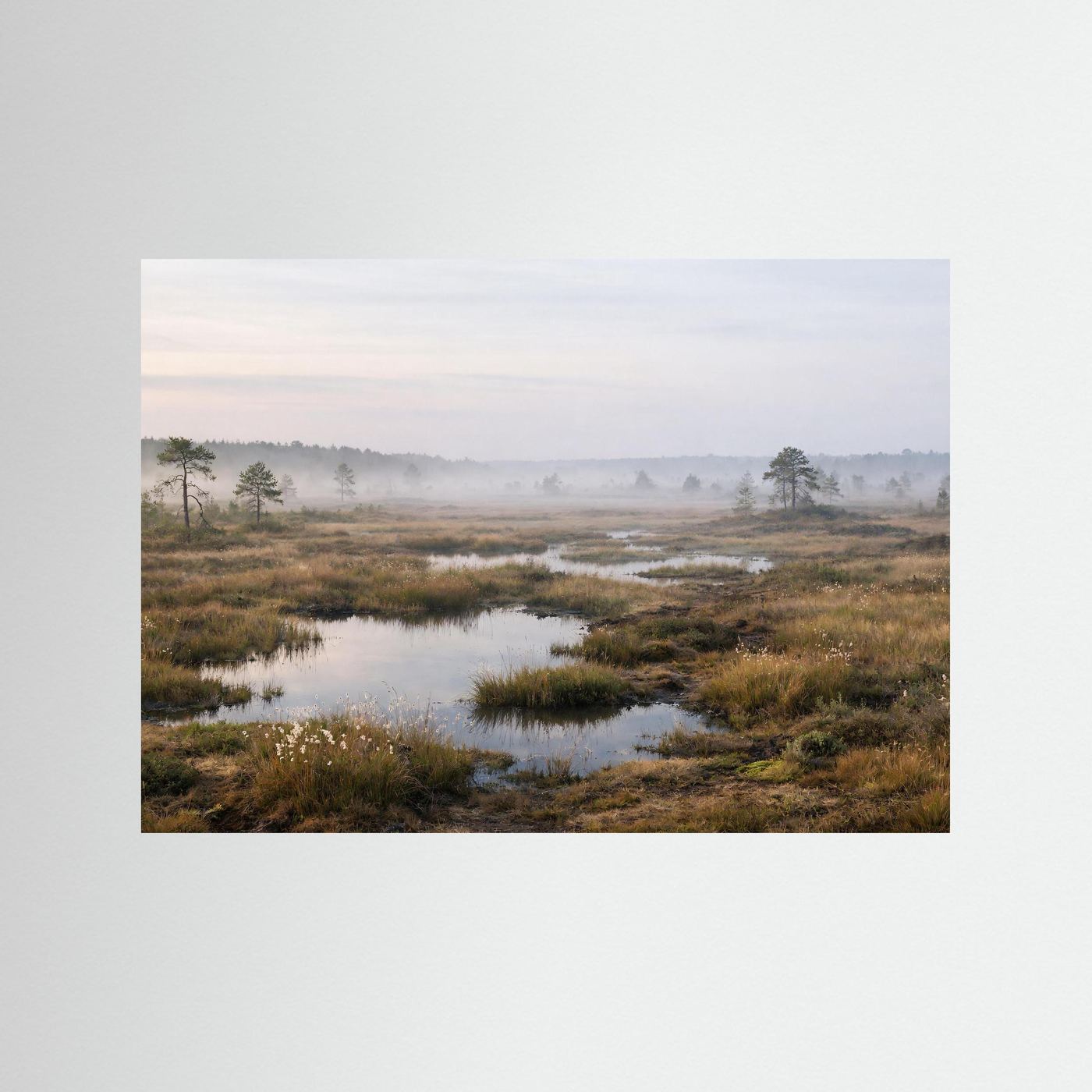Querformat-Poster: Moorlandschaft im Morgennebel mit Wasserlauf, Sumpfgras und Bäumen