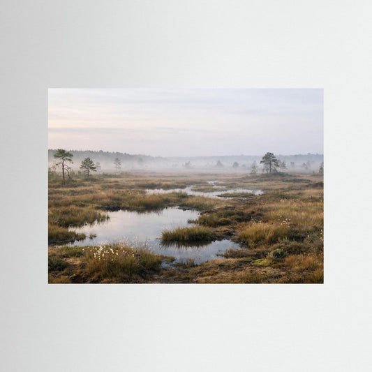 Querformat-Poster: Moorlandschaft im Morgennebel mit Wasserlauf, Sumpfgras und Bäumen