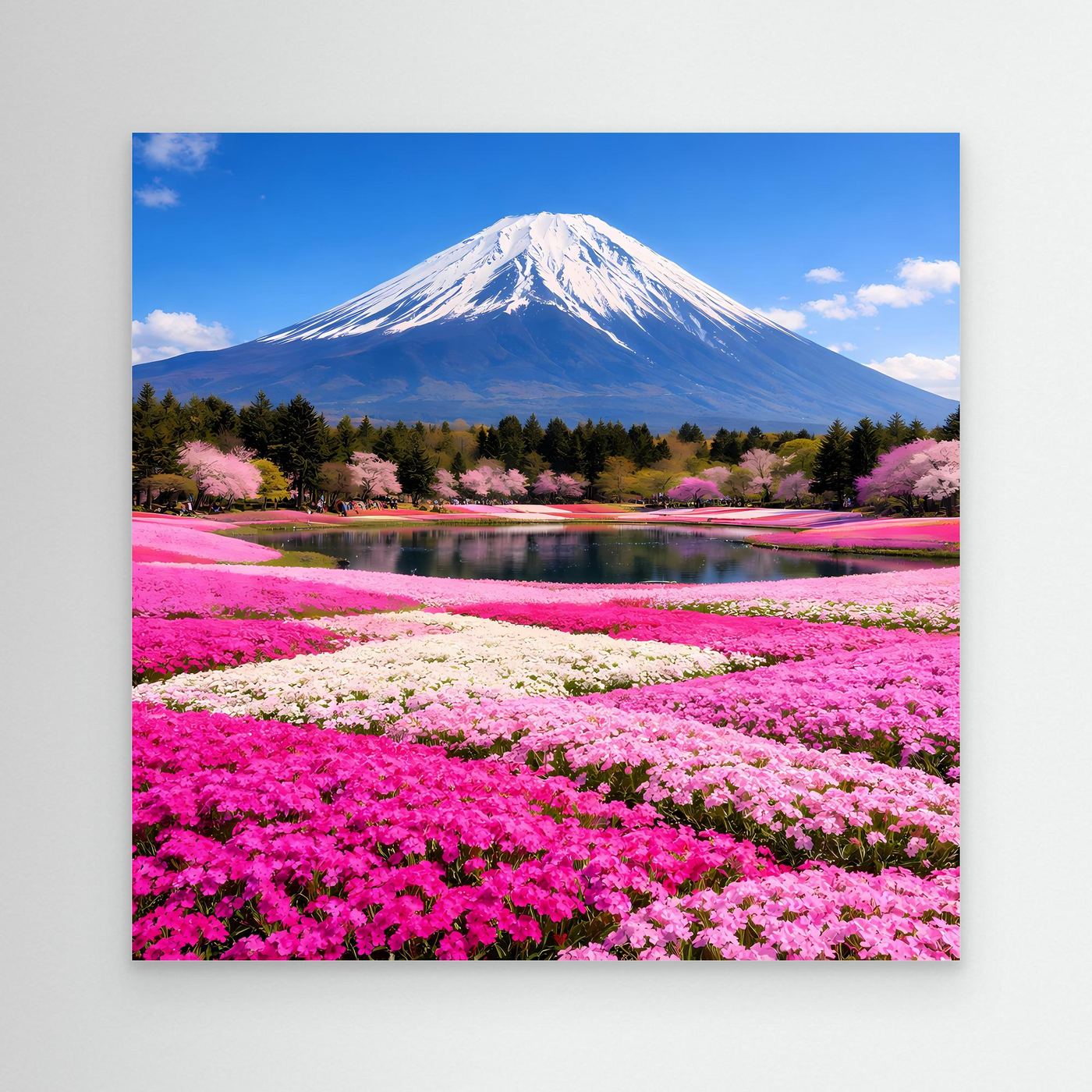 Leinwandbild mit Fuji, See und Kirschblüten im Blütenmeer, blauer Rand
