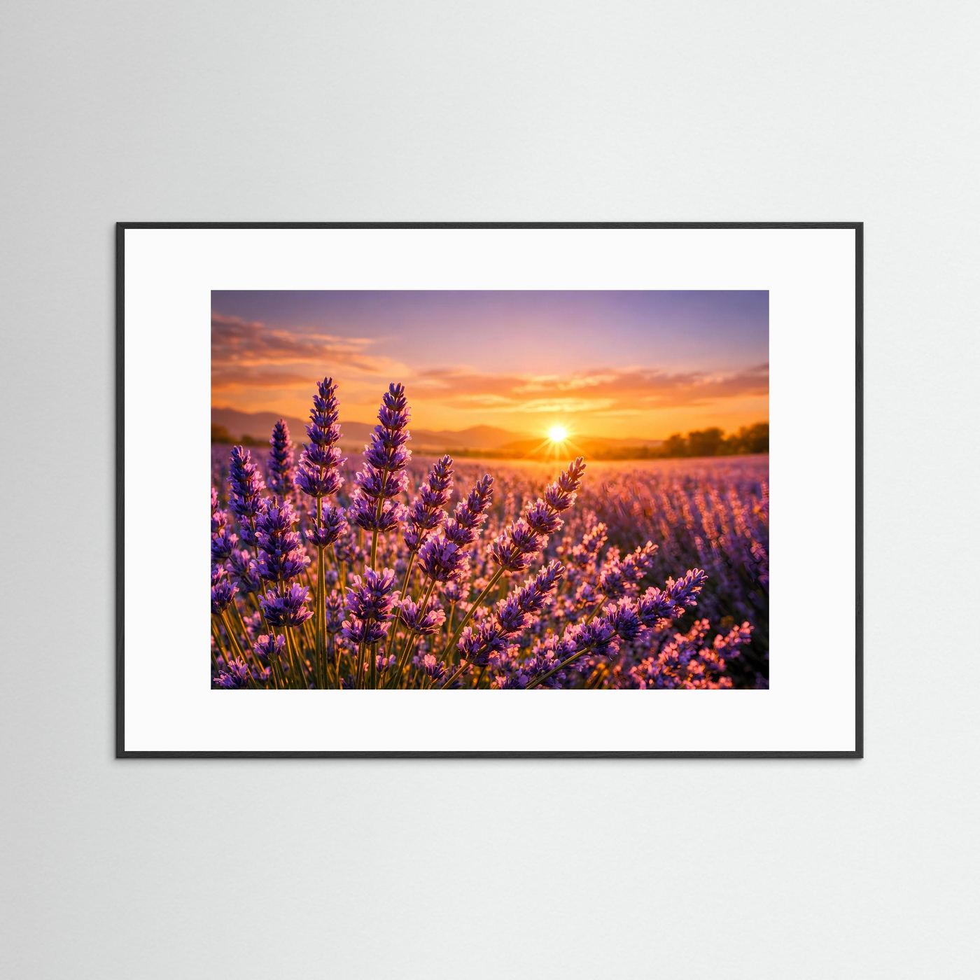 Lavendelzauber im Abendlicht | Provence & Sonnenuntergang Panorama Poster Querformat