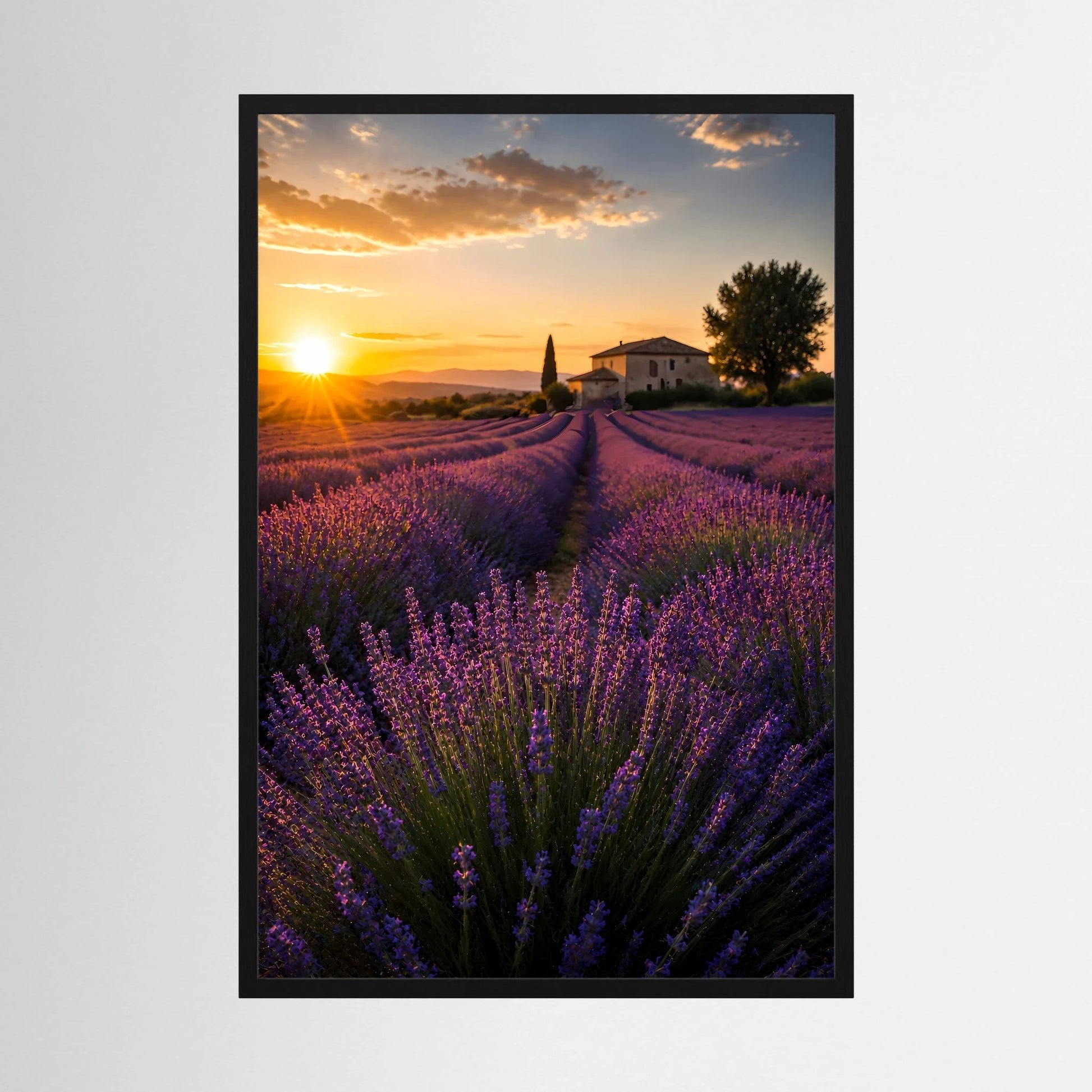 Kunstposter im Hochformat mit schwarzem Rahmen, Lavendelfeld bei Sonnenuntergang