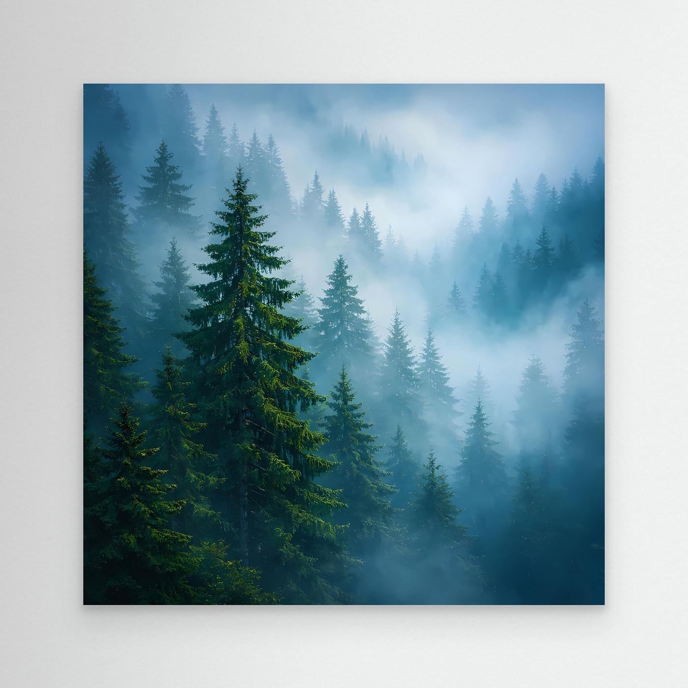 Leinwandbild Tannenwald im Nebel, ohne sichtbaren Rahmen
