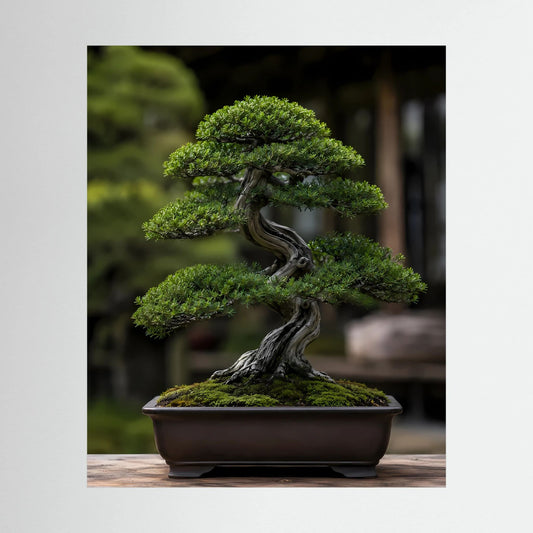 Vertikales Bonsai-Poster mit grünem Miniaturbaum in dunkler Schale, ohne Rahmen