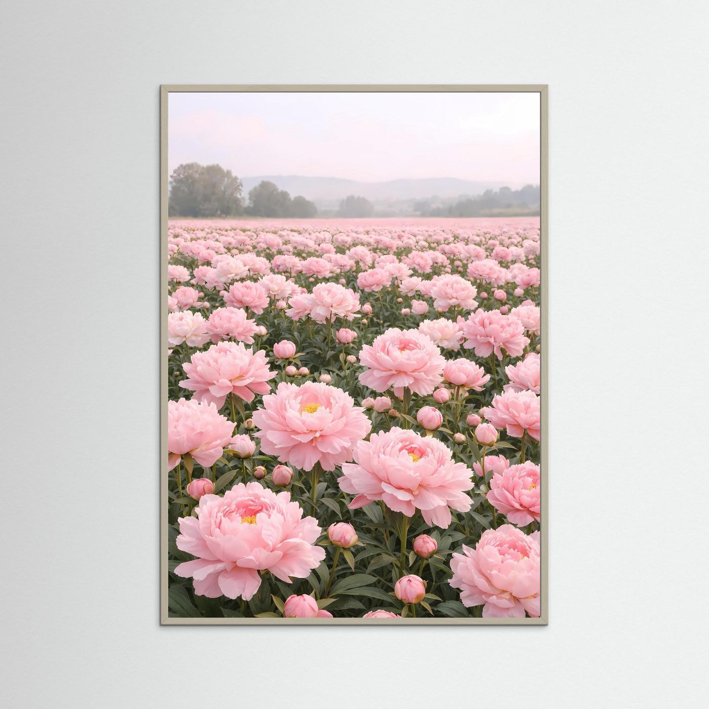 Poster Pfingstrosenfeld im Morgendunst | Rosa Blumenwiese Wandbild