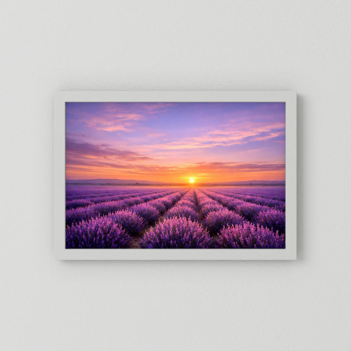 Wandbild im Querformat mit Lavendelfeld und Sonnenuntergang, weißer Rahmen