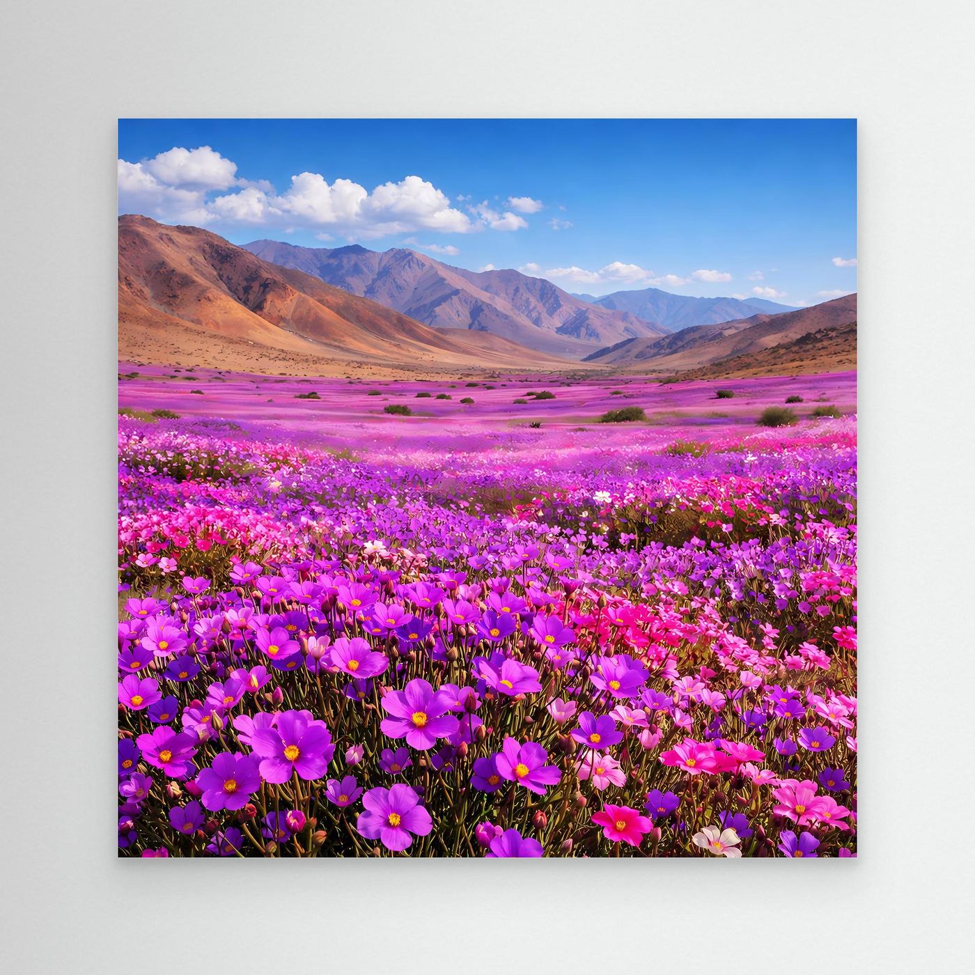 Leinwandbild mit lila Blumenwiese und Berglandschaft, ohne Rahmen