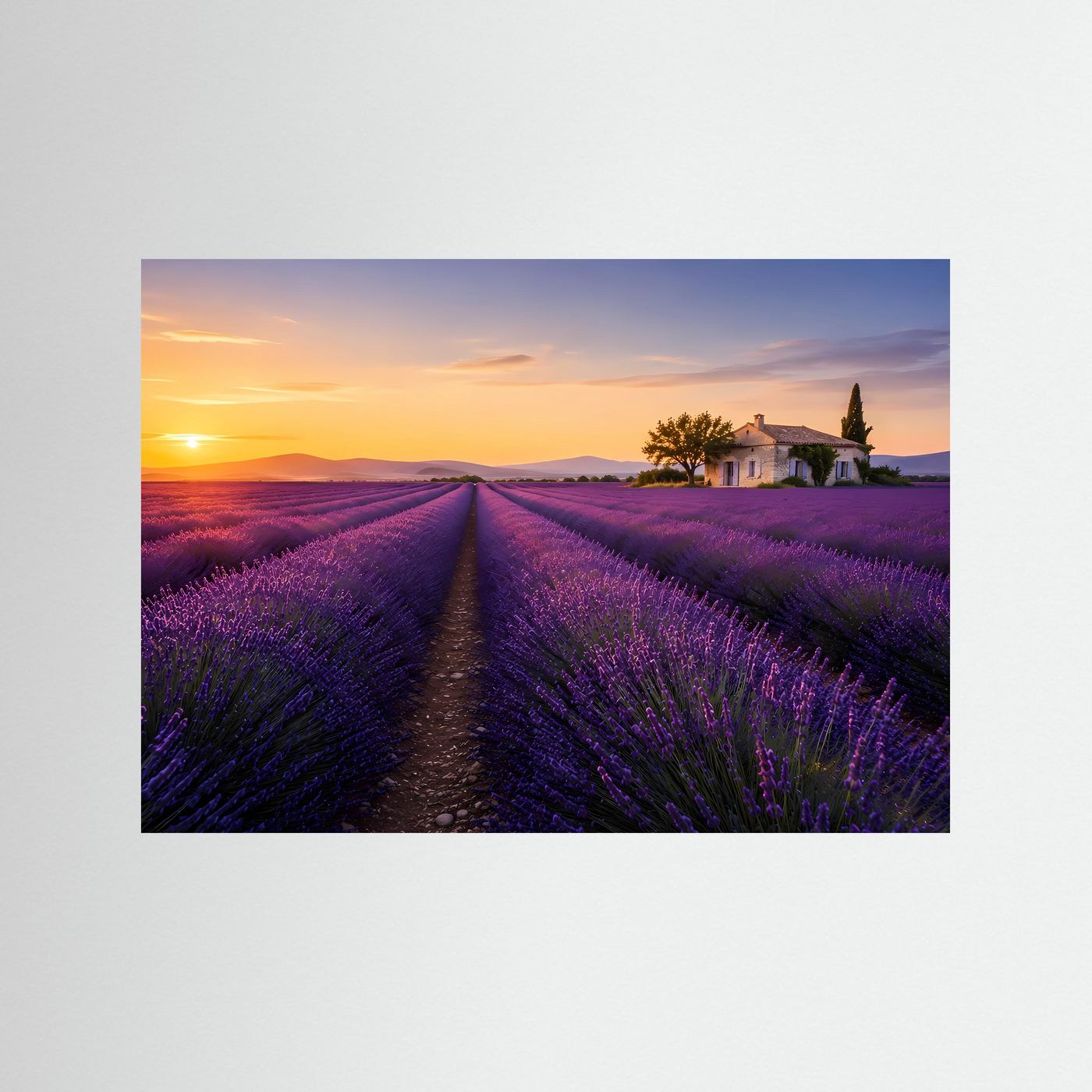 Querformatiges Poster mit Lavendelfeld und Landhaus bei Sonnenuntergang, mit blauer Kante