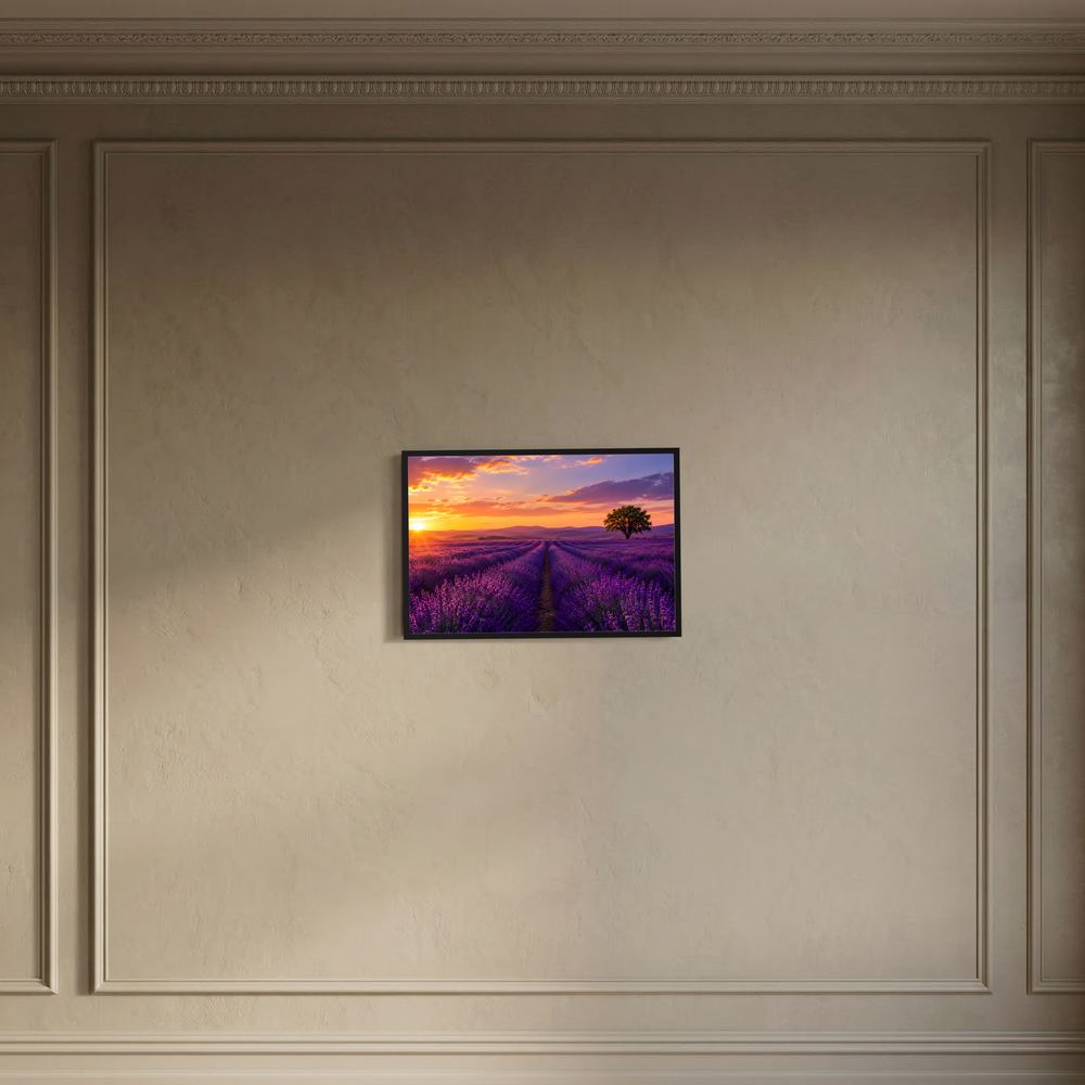 Wandbild Lavendelfeld bei Sonnenuntergang, schwarzer Rahmen, violette Lavendelfelder