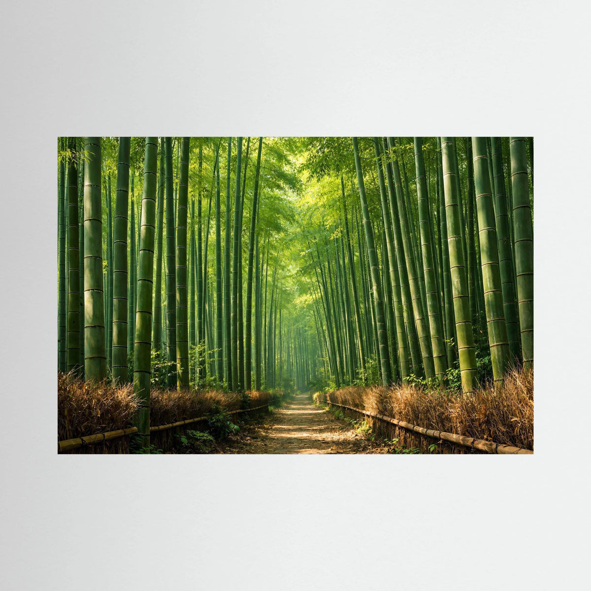 Wandbild im Querformat mit Bambuswald und Weg im Grün
