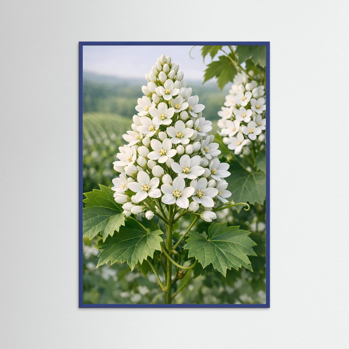 Botanisches Blütenposter mit weißen Blüten und grünen Blättern, blau gerahmt, hochformatig.