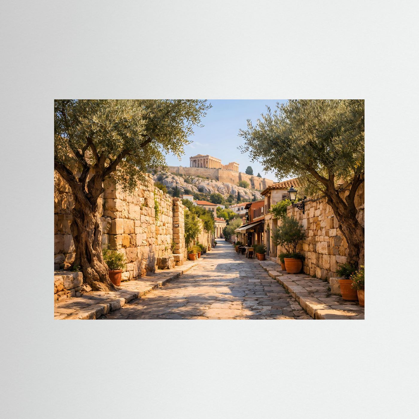 Wandbild: Gasse in Athen mit Olivenbäumen und Steinmauer, ohne sichtbaren Rahmen