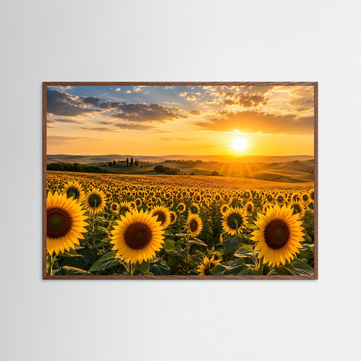 Querformat-Poster mit Sonnenblumenfeld bei Sonnenuntergang mit dunklem Holzrahmen