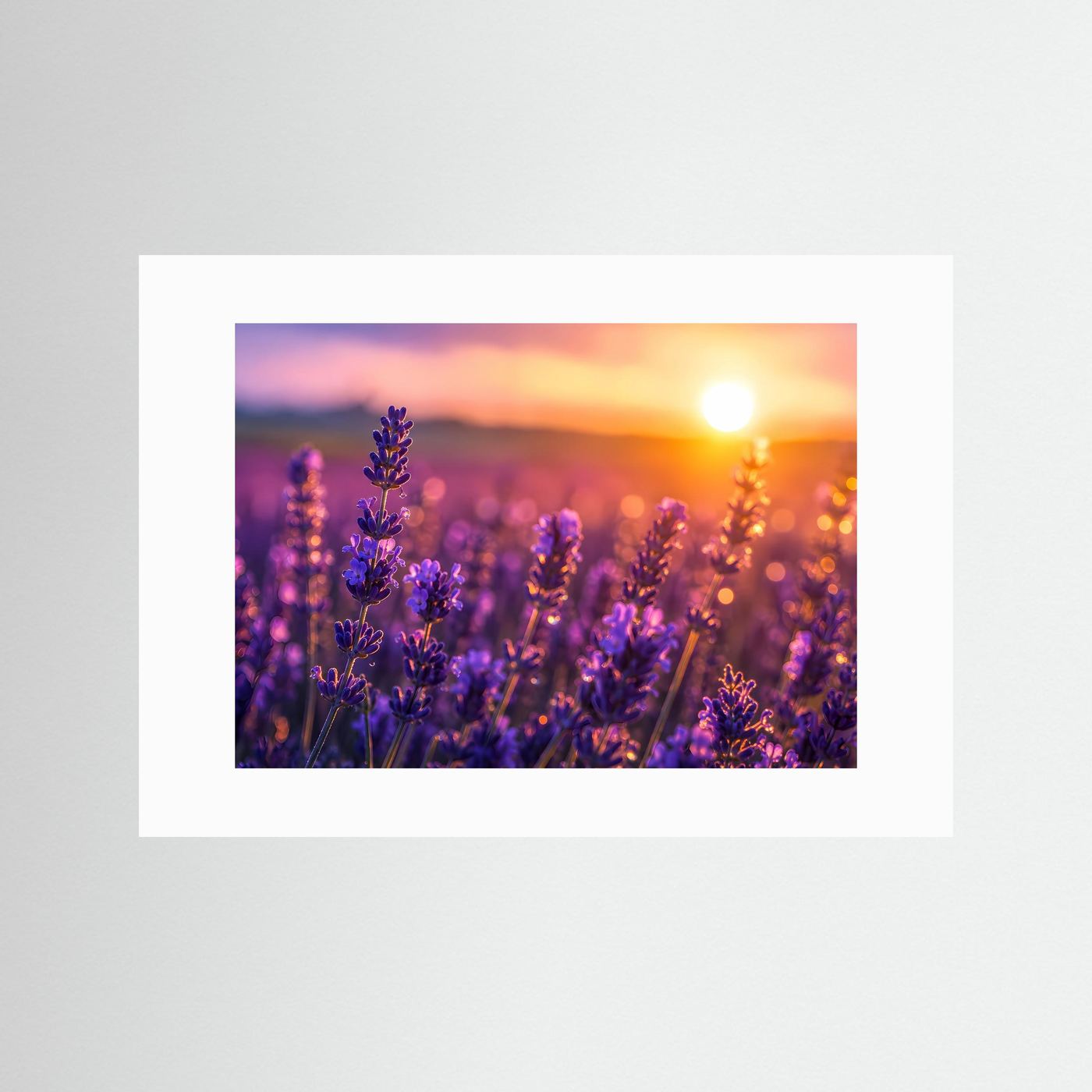 Lavendel Sonnenuntergang Poster | Provence Blumenfeld Wandbild | Romantische Naturfotografie mit Goldenem Abendlicht