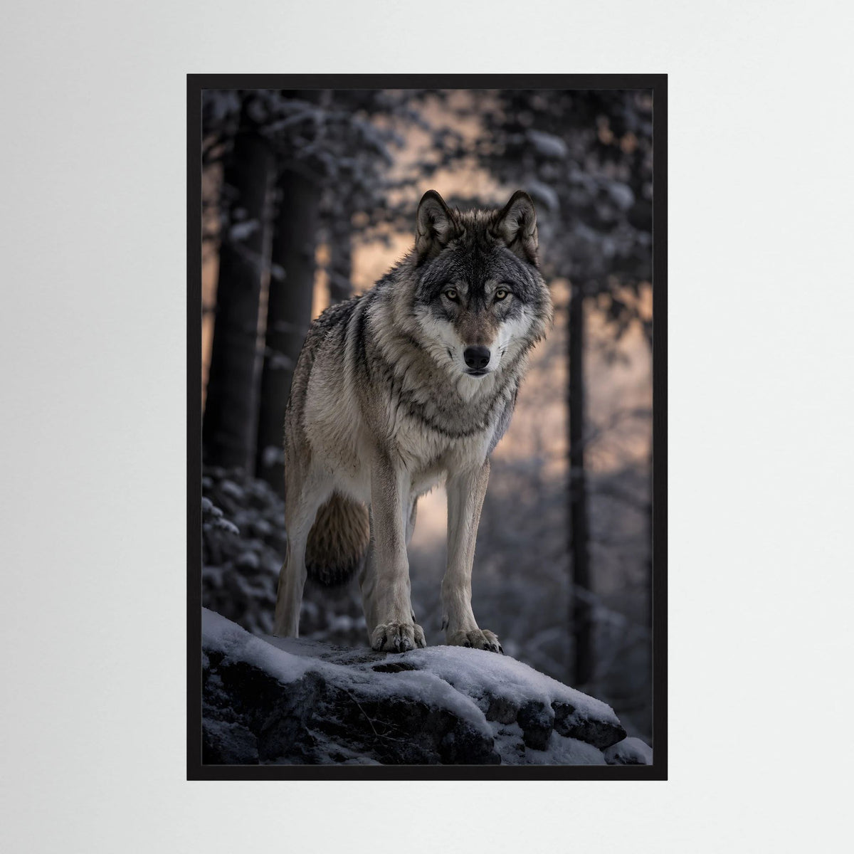Wandposter im Hochformat mit grauem Wolf auf Schneefels, schwarzer Rahmen