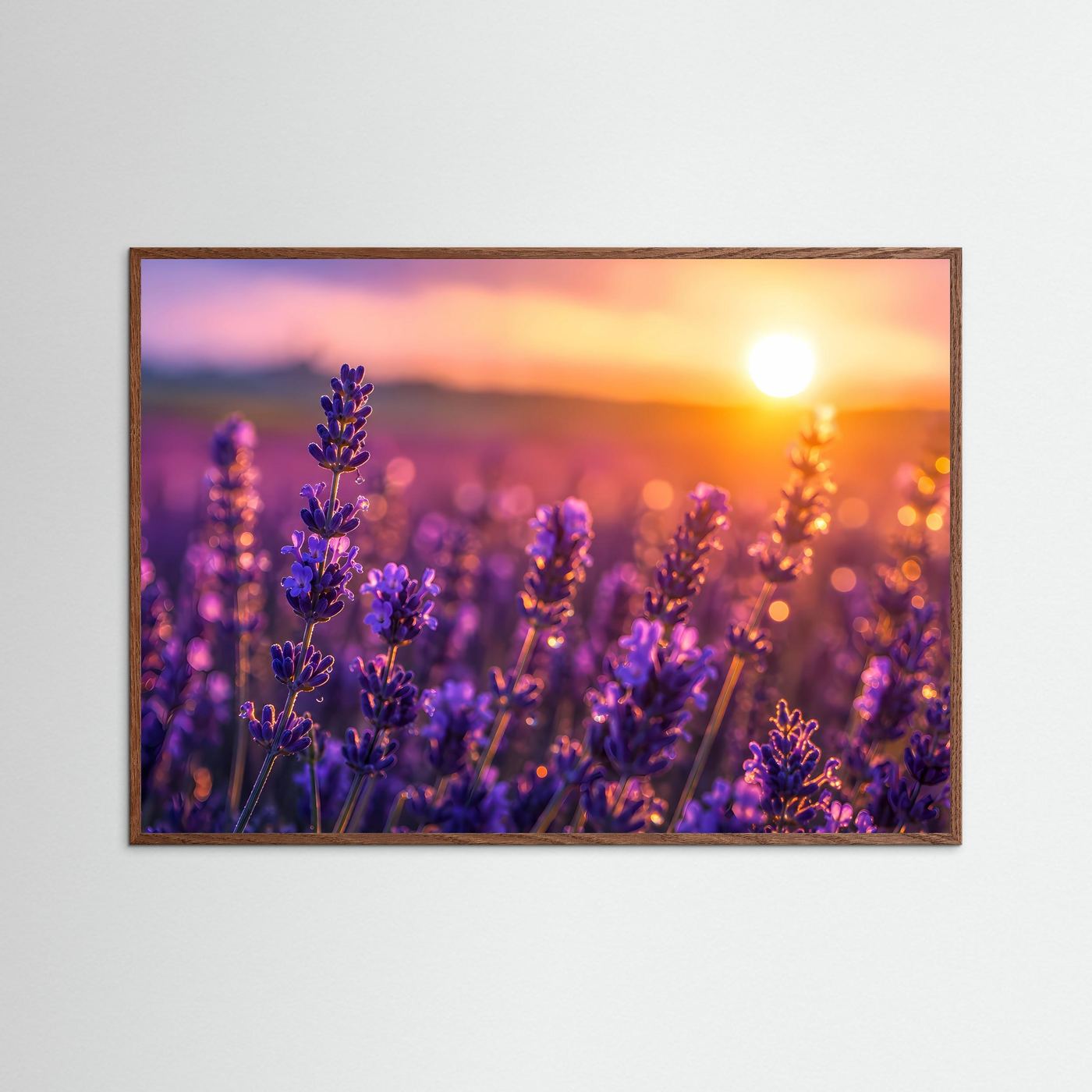 Lavendel Sonnenuntergang Poster | Provence Blumenfeld Wandbild | Romantische Naturfotografie mit Goldenem Abendlicht