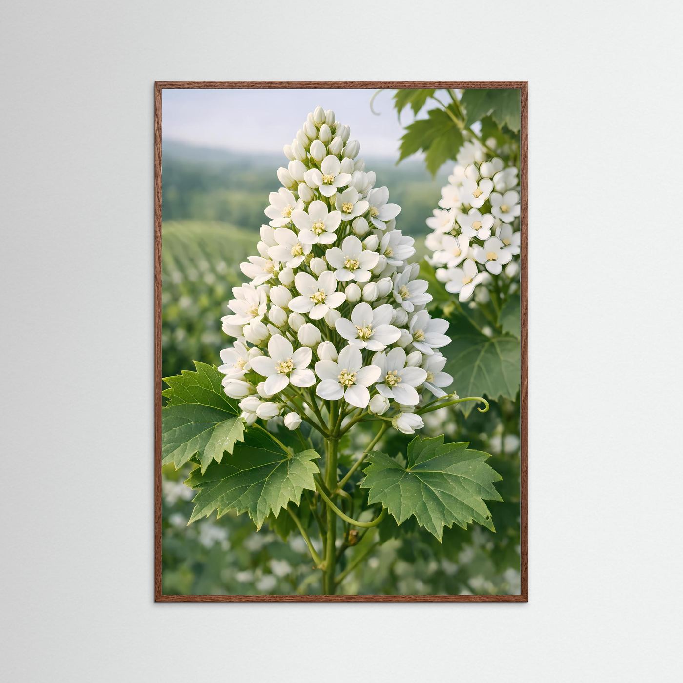 Botanisches Blütenposter mit weißen Blüten und grünen Blättern, braun gerahmt, hochformatig.