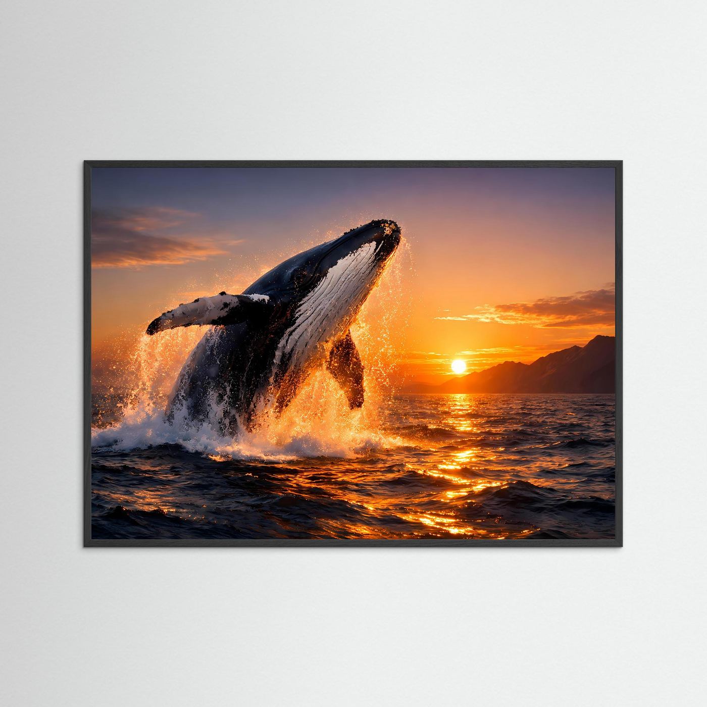 Panoramaposter mit springendem Buckelwal über dem Meer bei Sonnenuntergang, schwarzer Rahmen