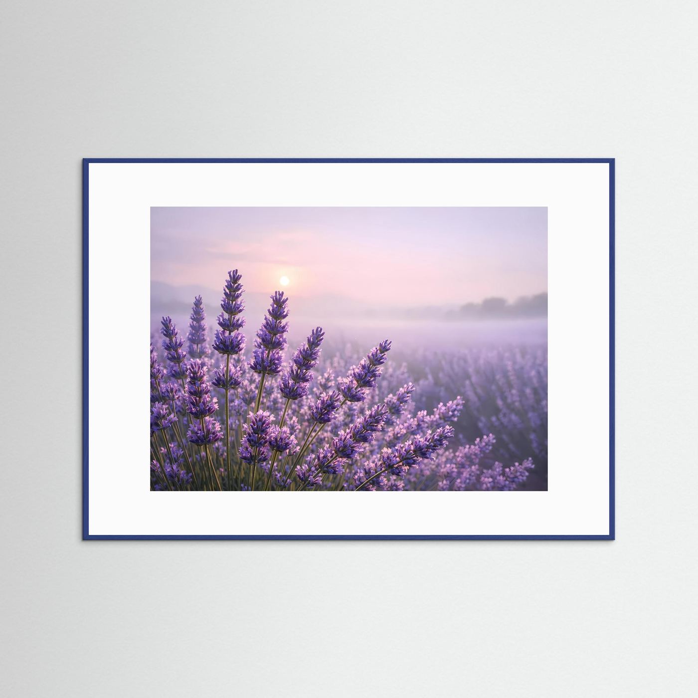 Sanfter Lavendelzauber im Morgenlicht | Panorama Blumenfeld & Natur Poster Querformat