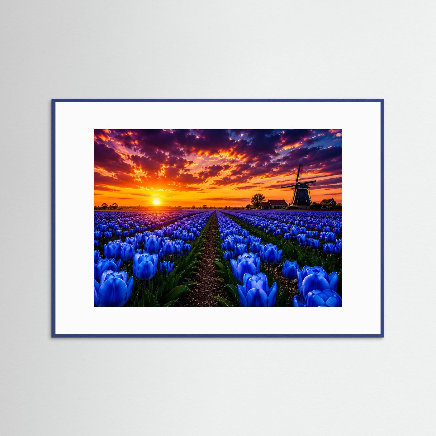 Blaue Tulpen bei Sonnenuntergang | Farbenprächtiges Tulpenfeld mit Windmühle
